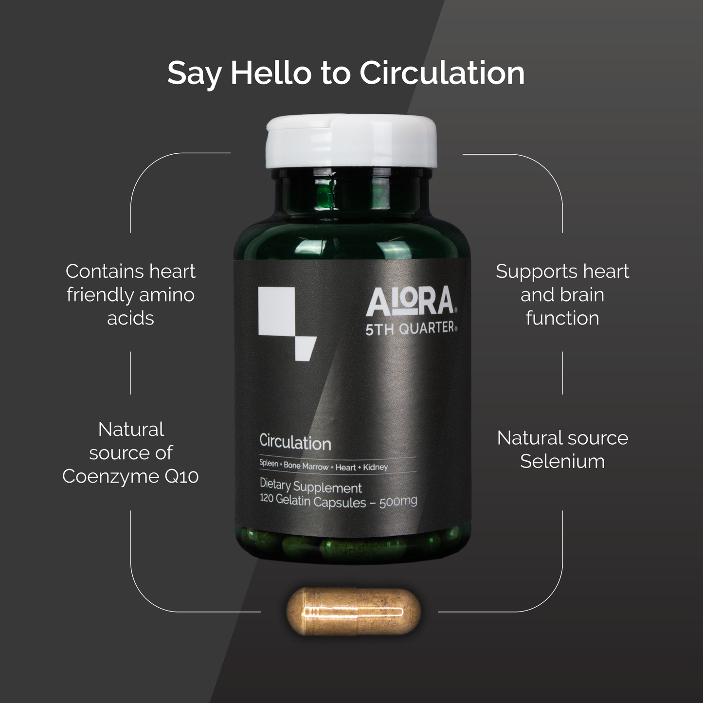 5th Quarter Circulation