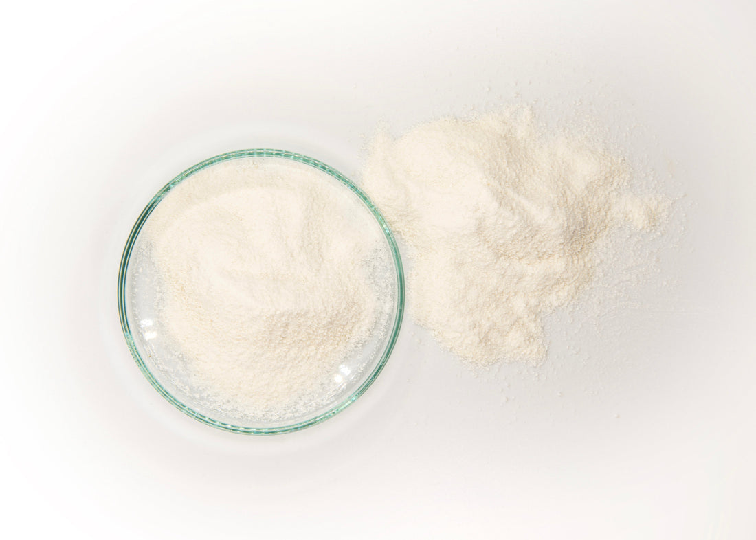 Bovine Cartilage Collagen vs. Marine Collagen