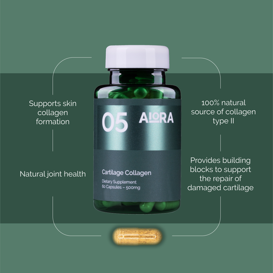 05 Cartilage Collagen